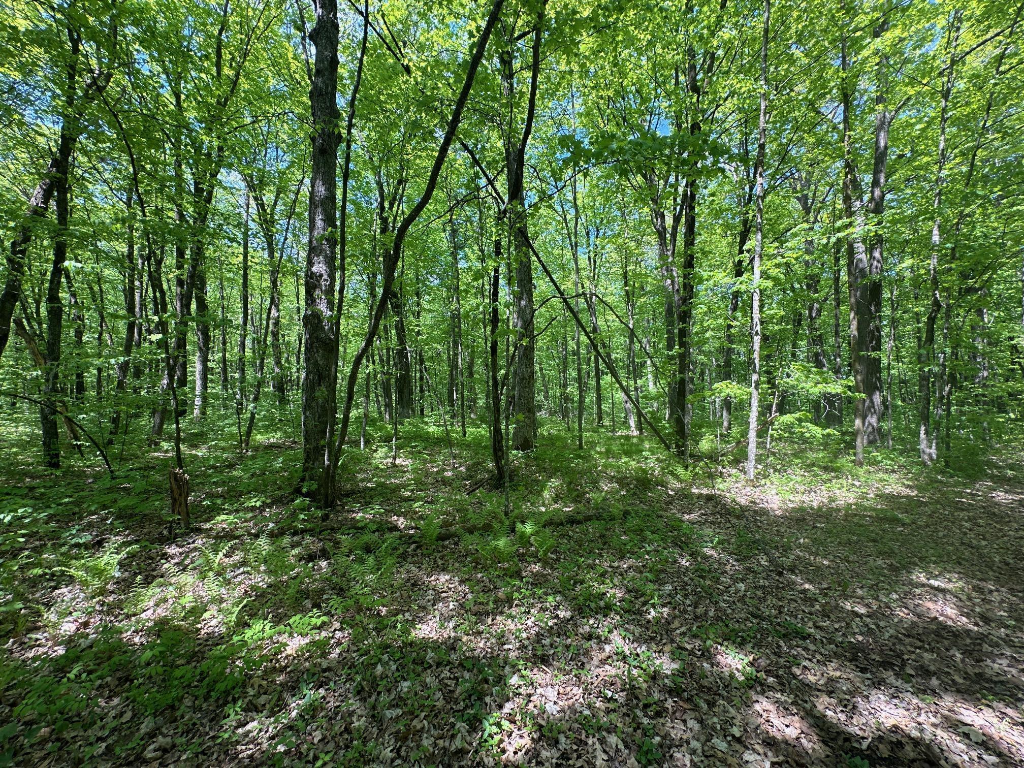 XXCB Merlin Road, Hillman, Minnesota image 30