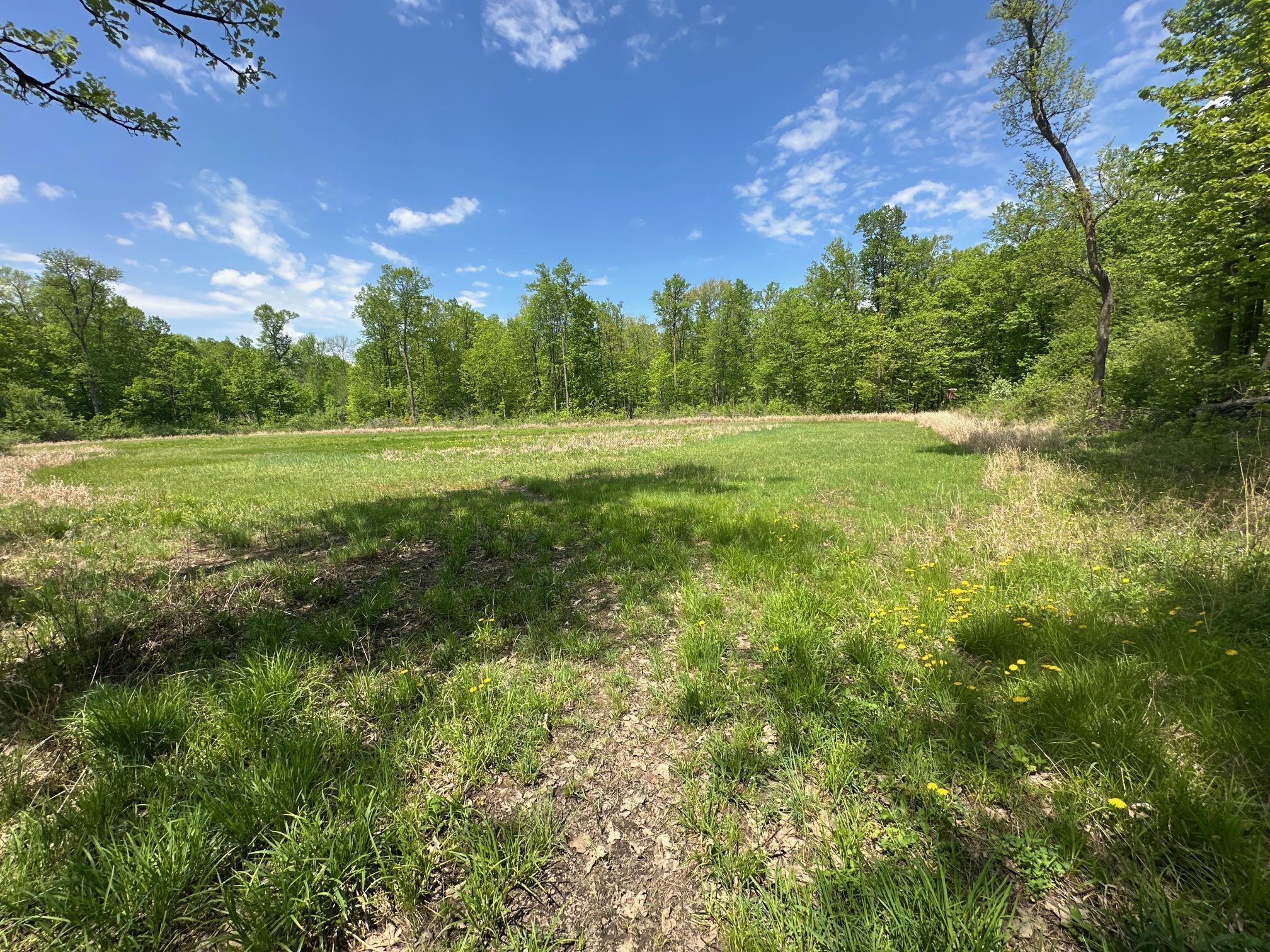 XXCB Merlin Road, Hillman, Minnesota image 33
