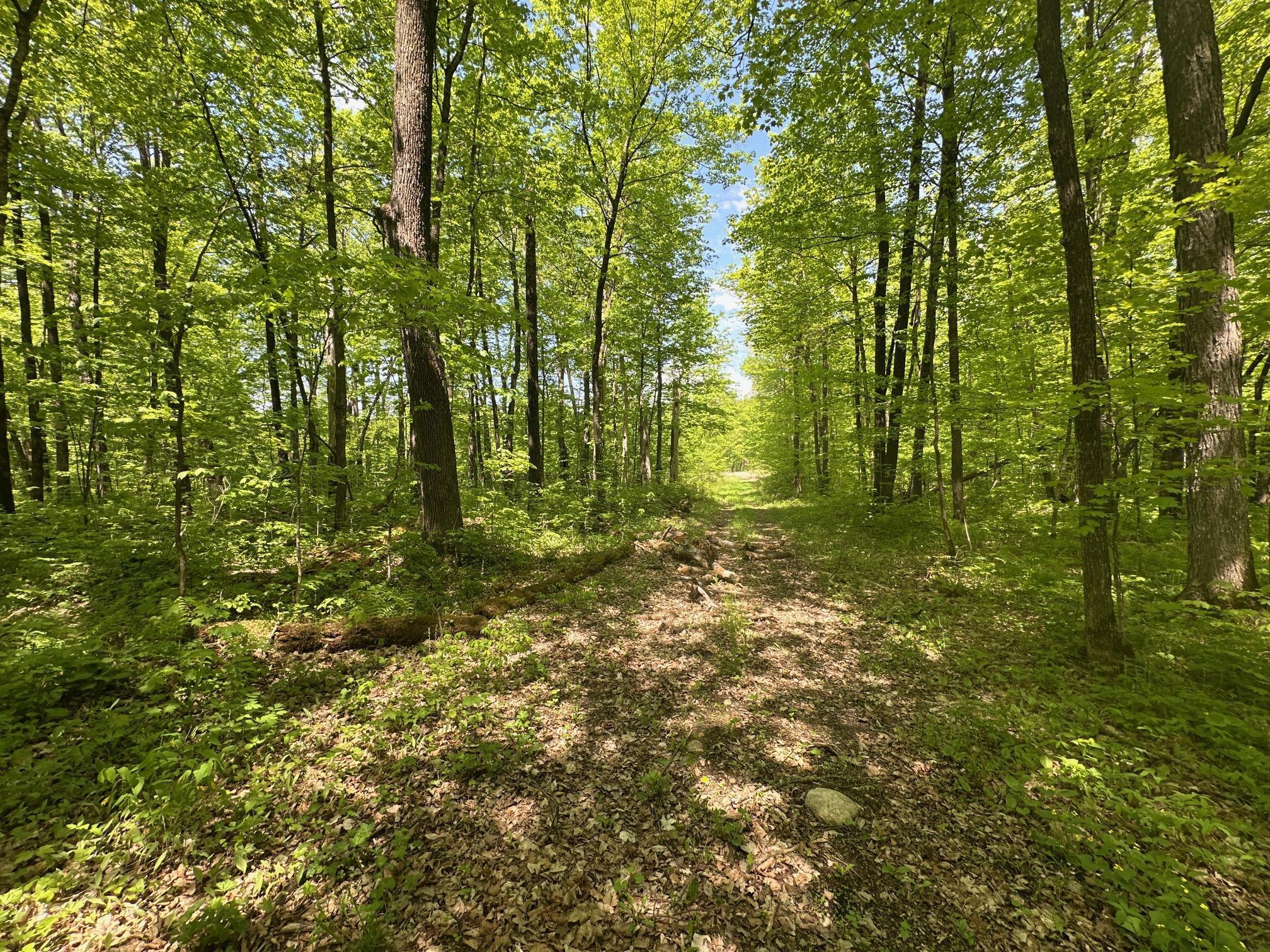 XXCB Merlin Road, Hillman, Minnesota image 6