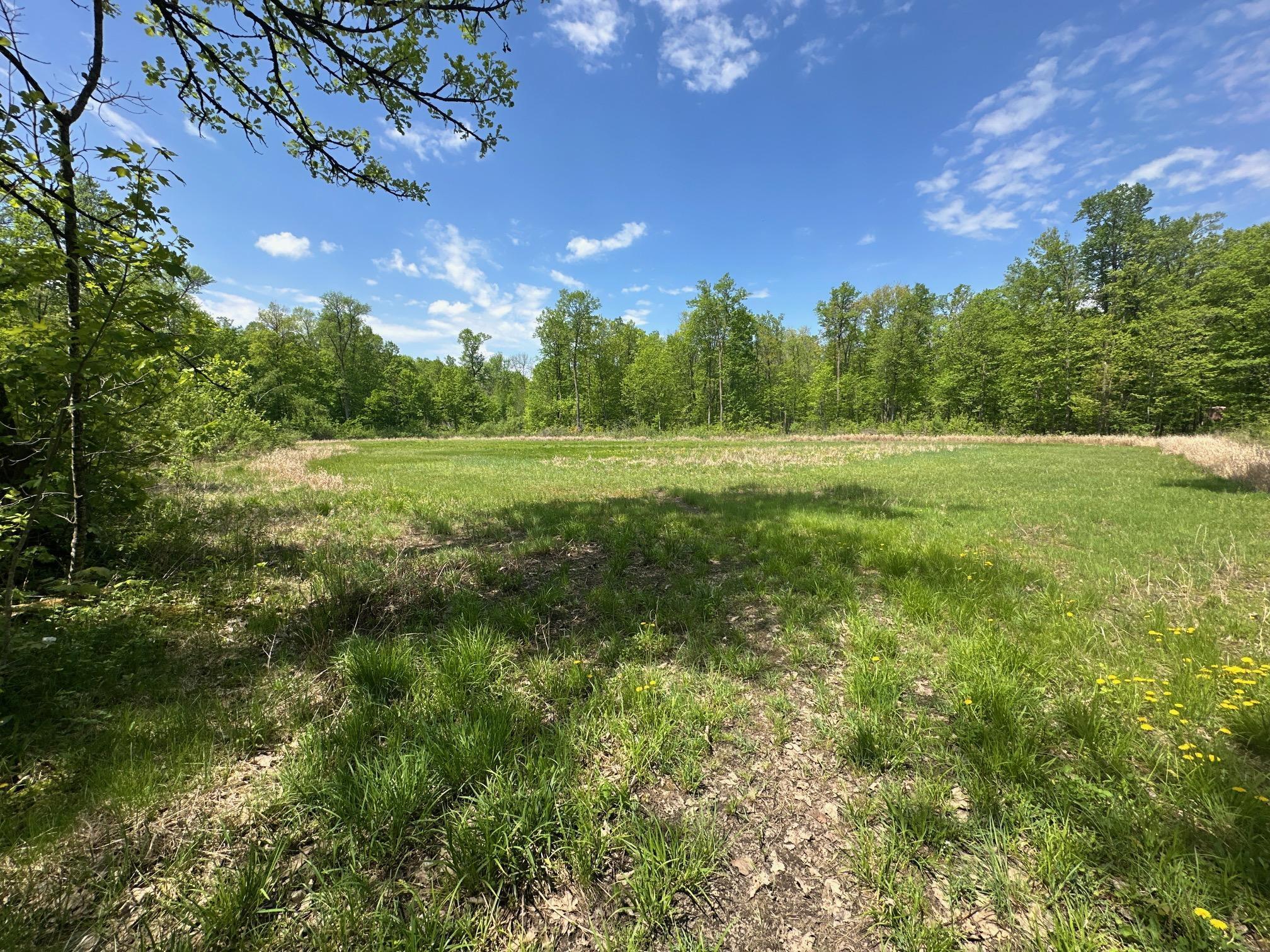 XXCB Merlin Road, Hillman, Minnesota image 8