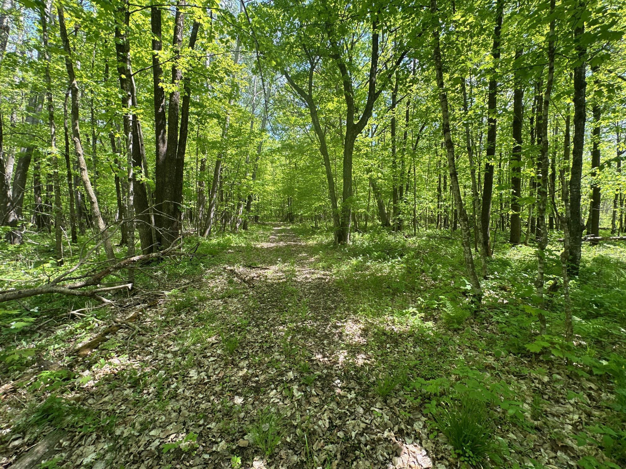 XXCB Merlin Road, Hillman, Minnesota image 13