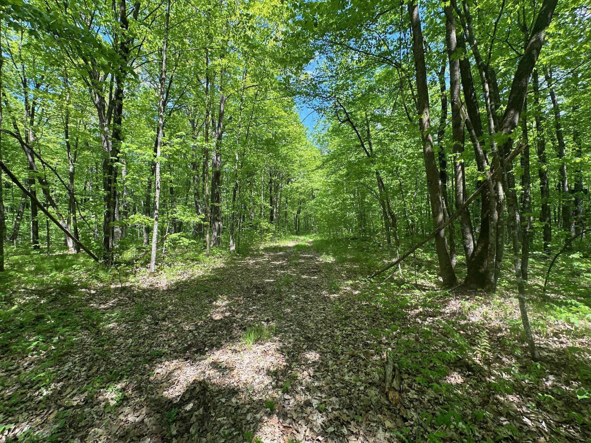 XXCB Merlin Road, Hillman, Minnesota image 31