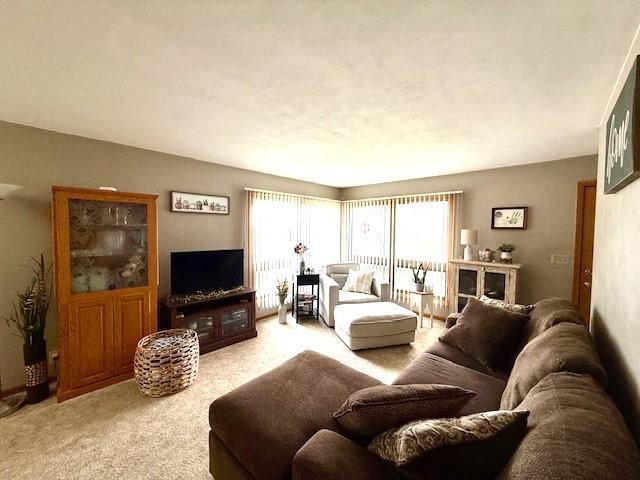 823 Winnebago Street, Caledonia, Minnesota image 10
