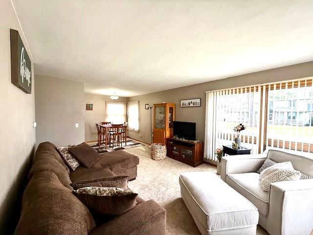 823 Winnebago Street, Caledonia, Minnesota image 12