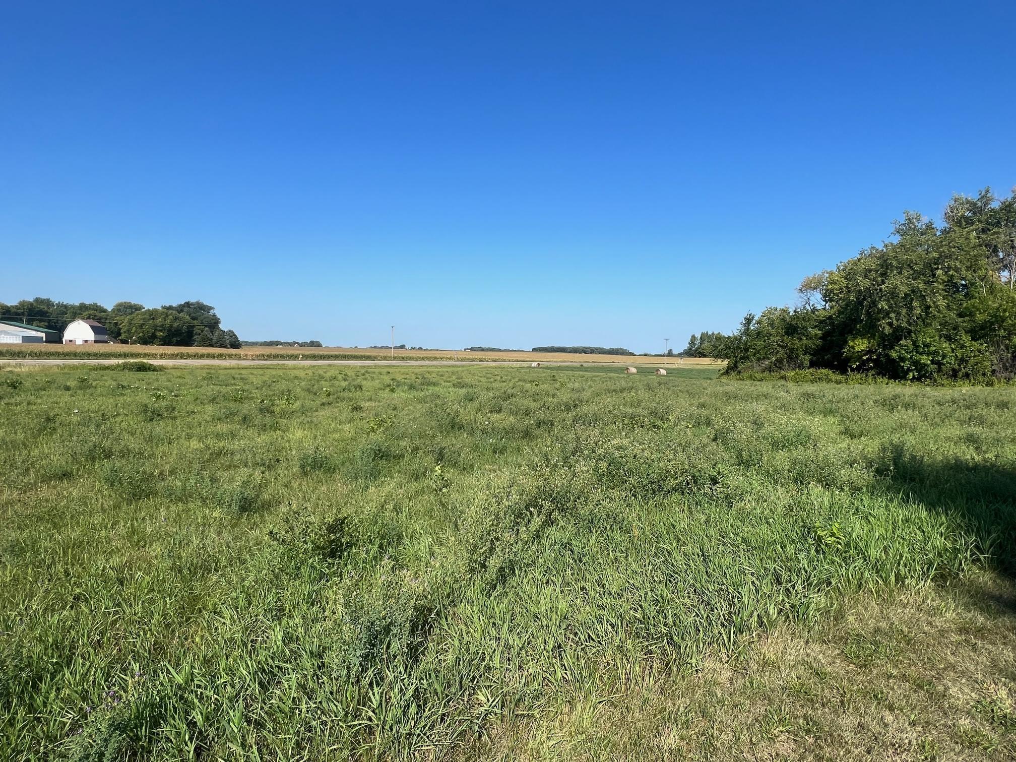 TBD Highway 22, New Auburn, Minnesota image 6