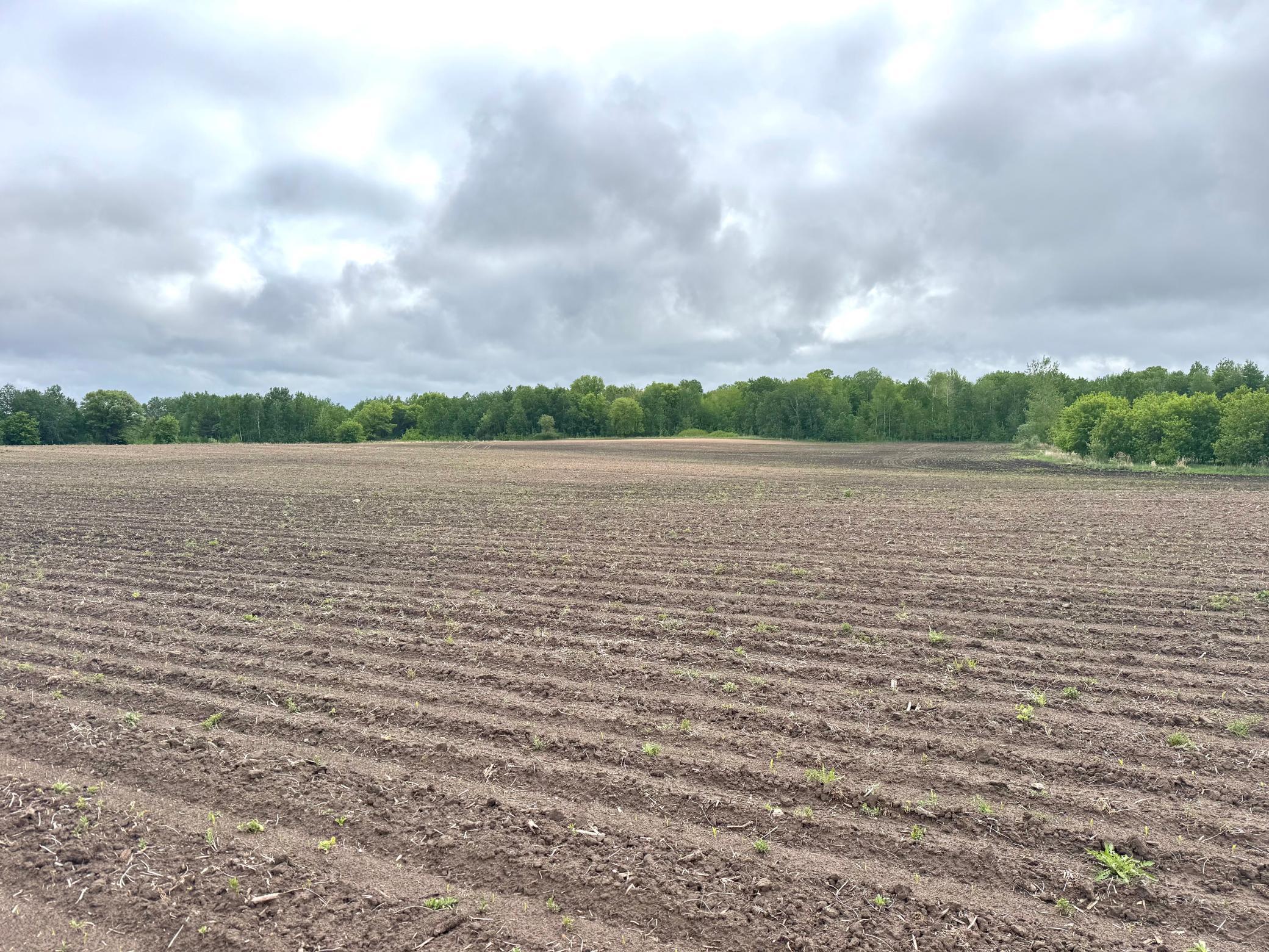 Parcel B 27+/-AC 470th Street, Harris, Minnesota image 35