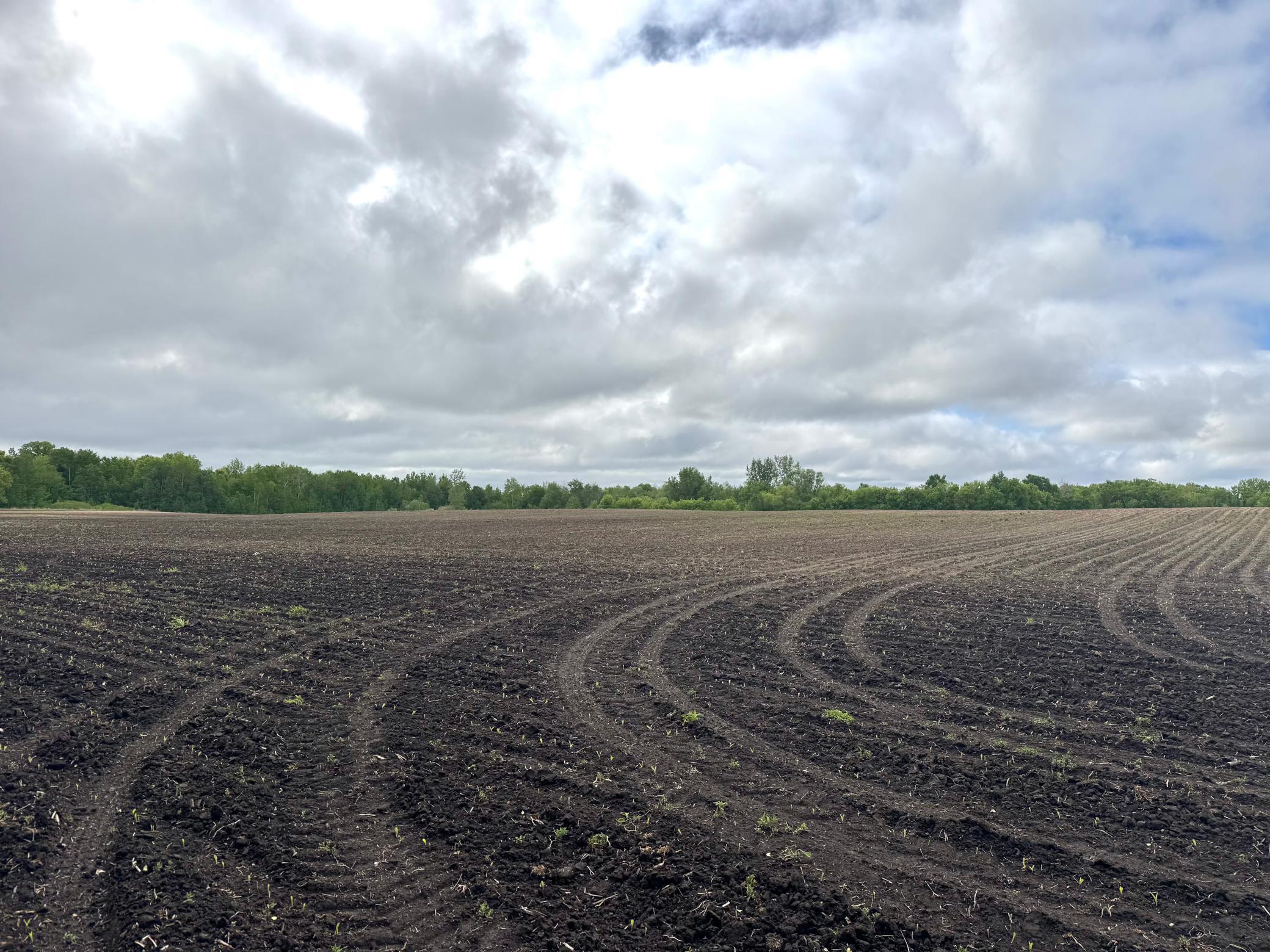 Parcel B 27+/-AC 470th Street, Harris, Minnesota image 31