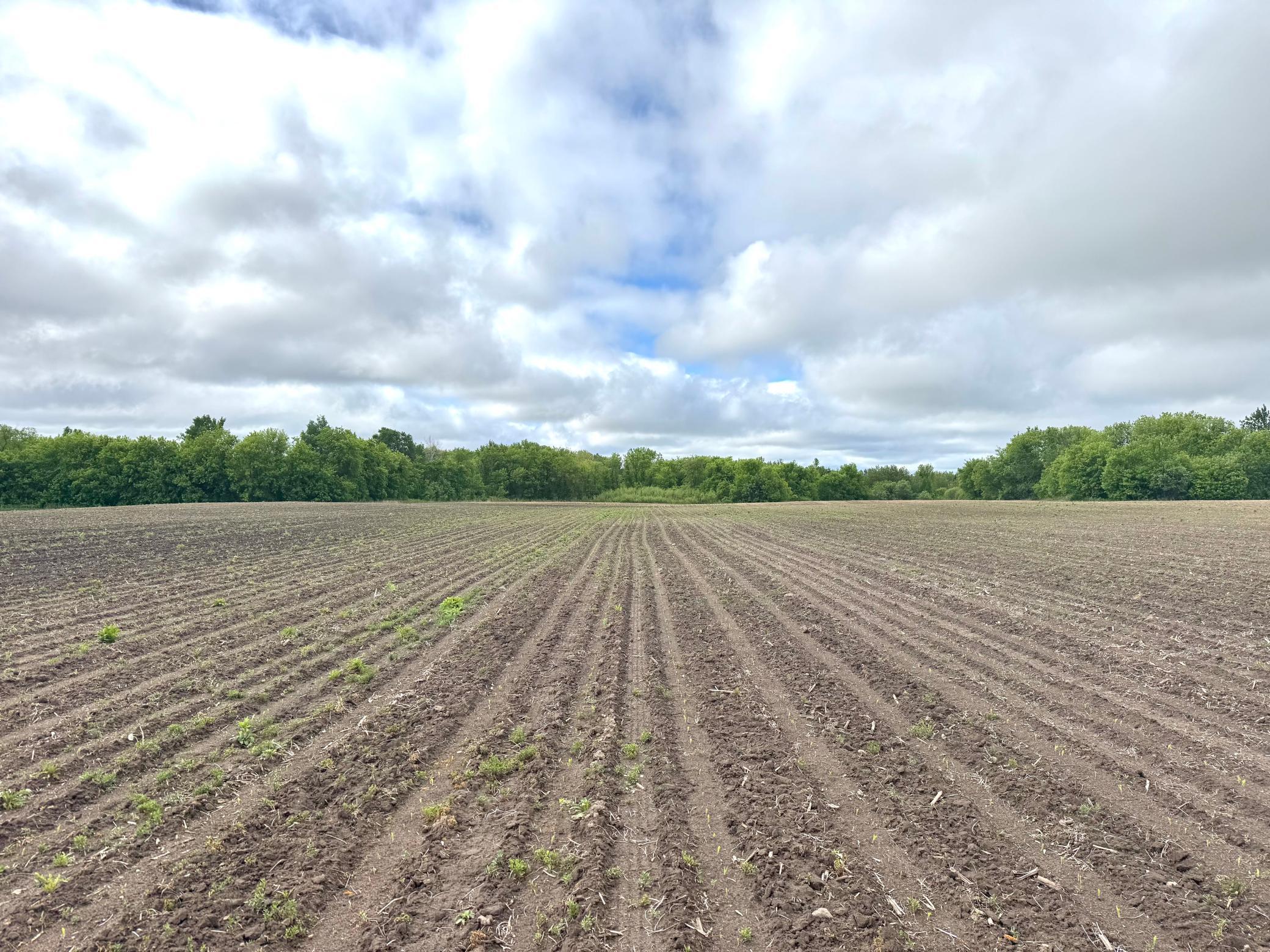 Parcel B 27+/-AC 470th Street, Harris, Minnesota image 33