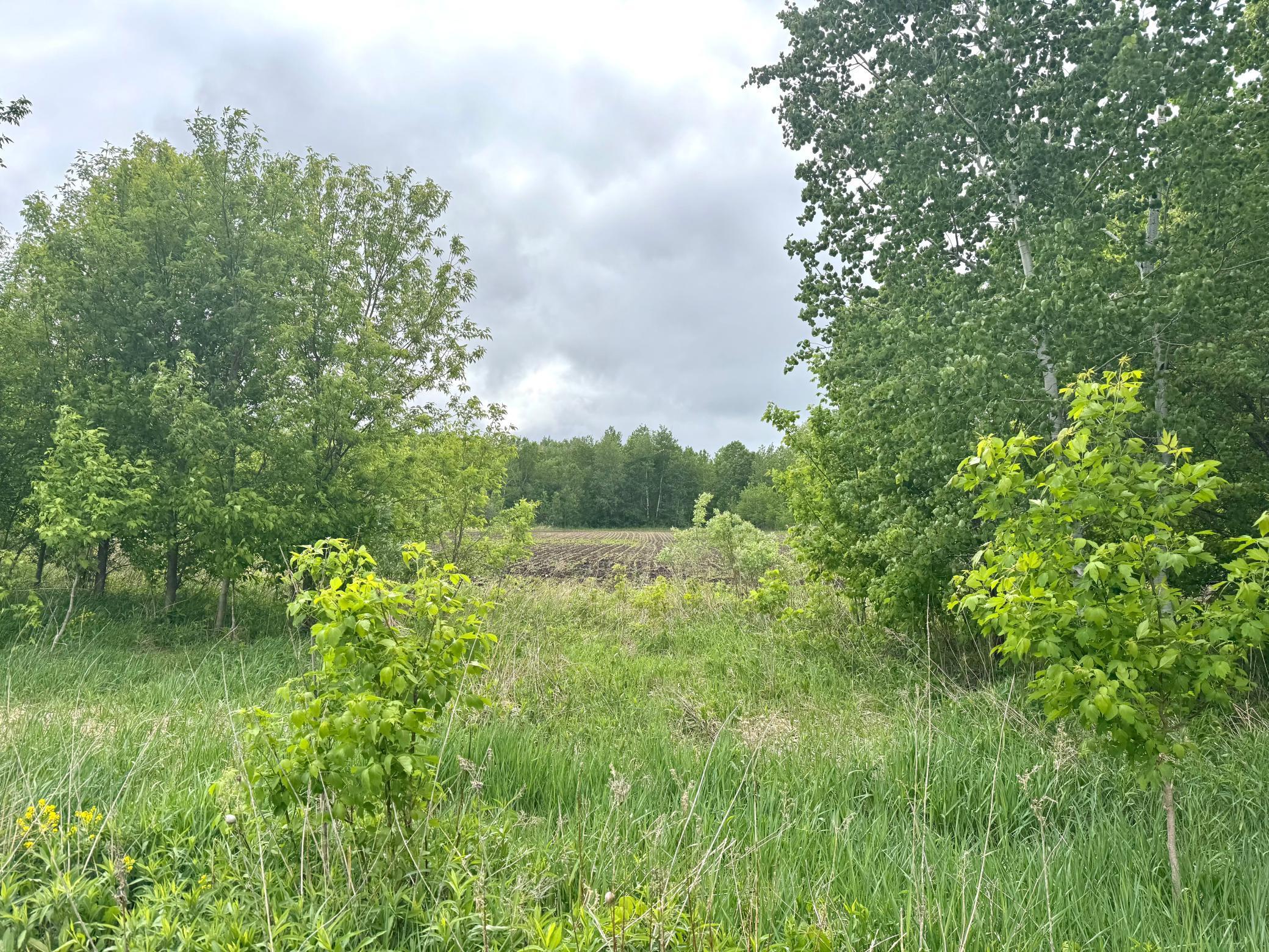 Parcel B 27+/-AC 470th Street, Harris, Minnesota image 34