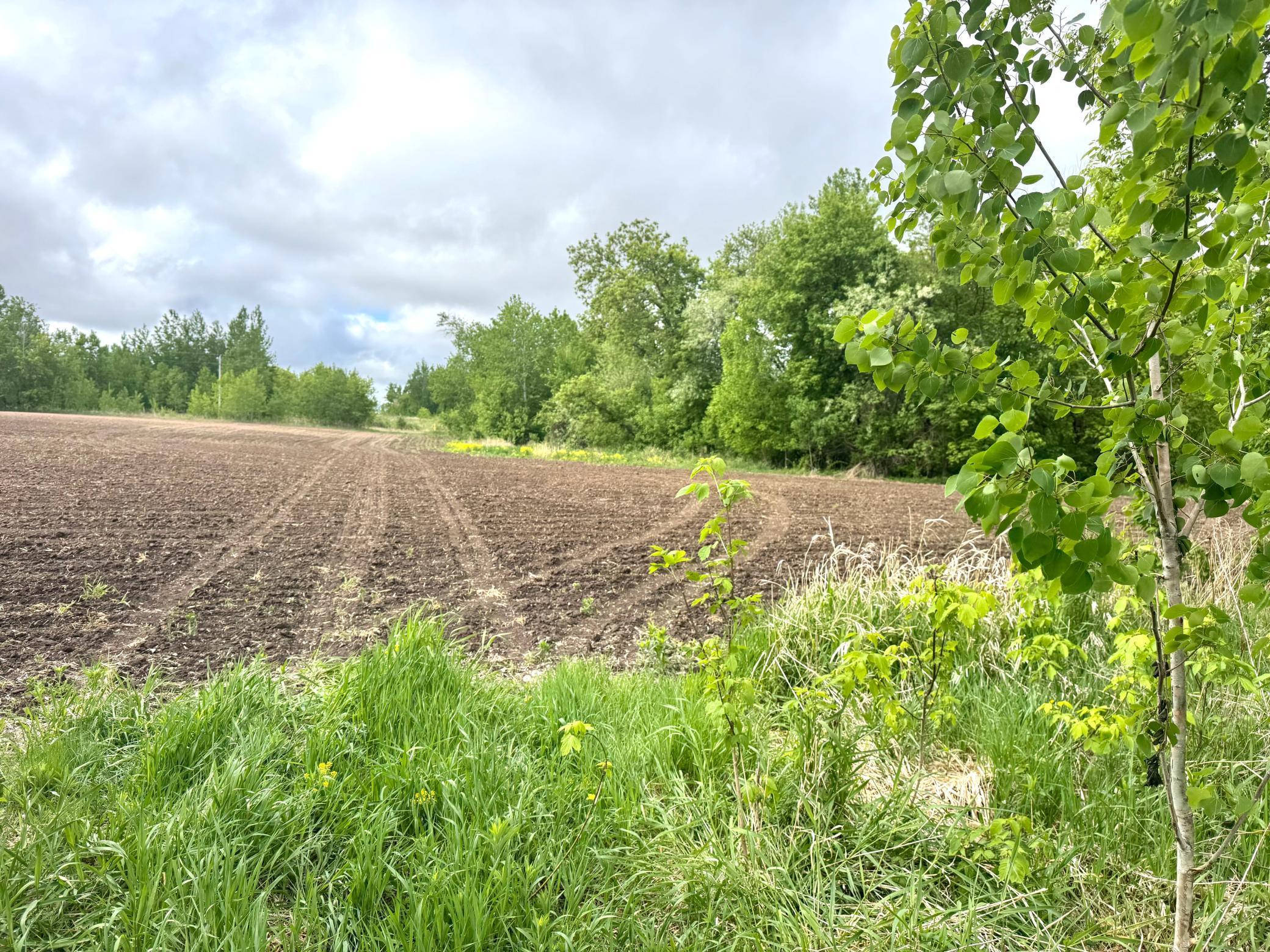 Parcel B 27+/-AC 470th Street, Harris, Minnesota image 32