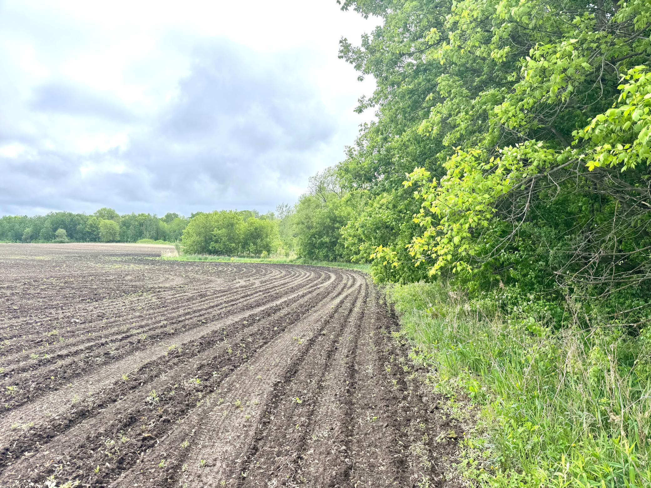 Parcel B 27+/-AC 470th Street, Harris, Minnesota image 26