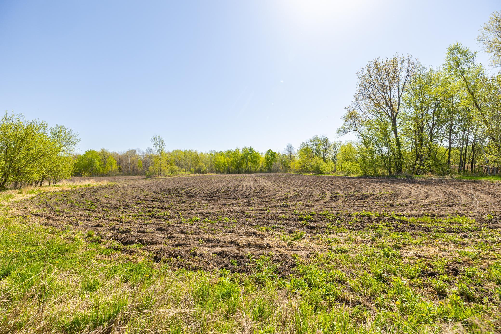 Parcel B 27+/-AC 470th Street, Harris, Minnesota image 2