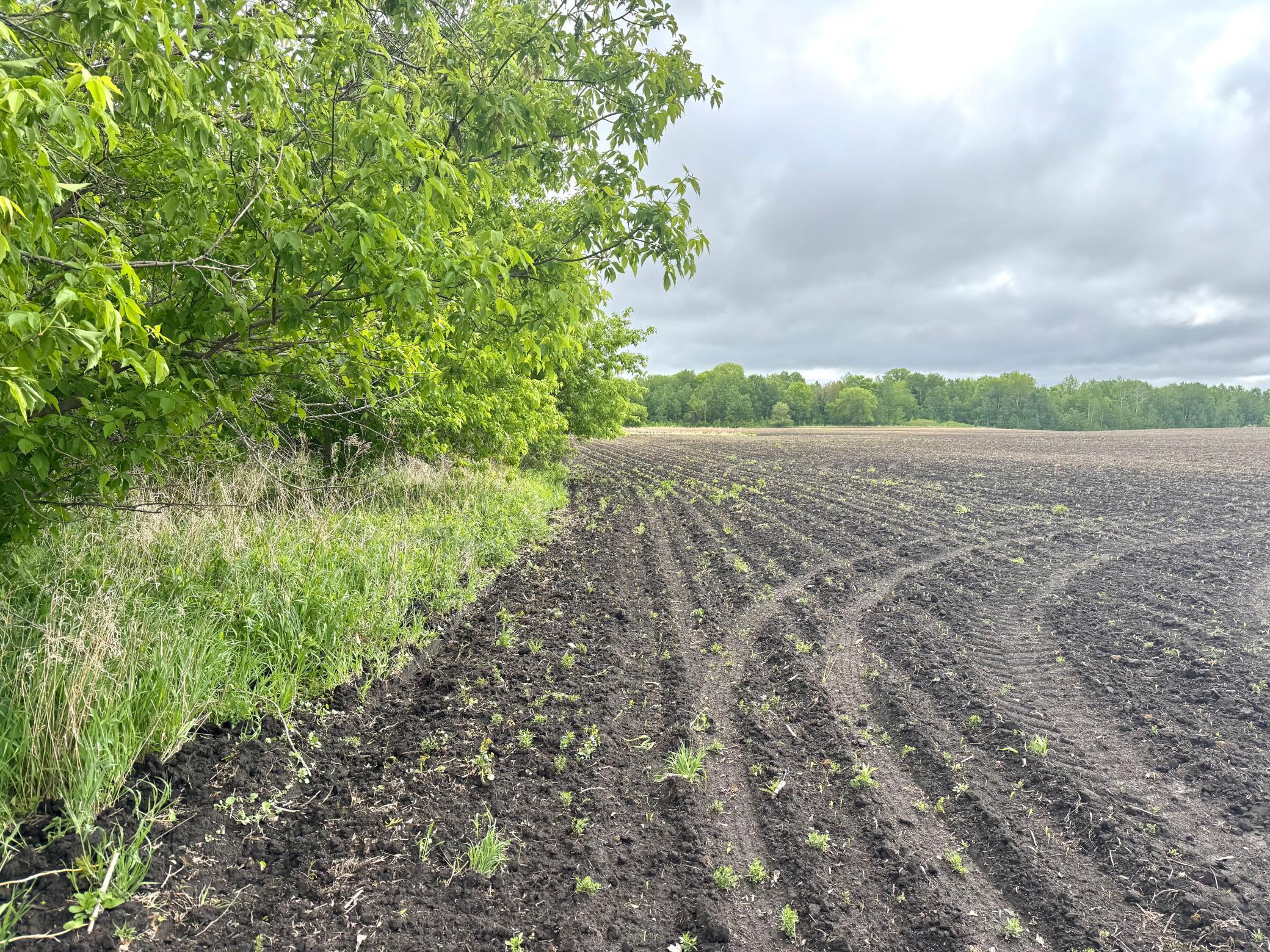 Parcel B 27+/-AC 470th Street, Harris, Minnesota image 21