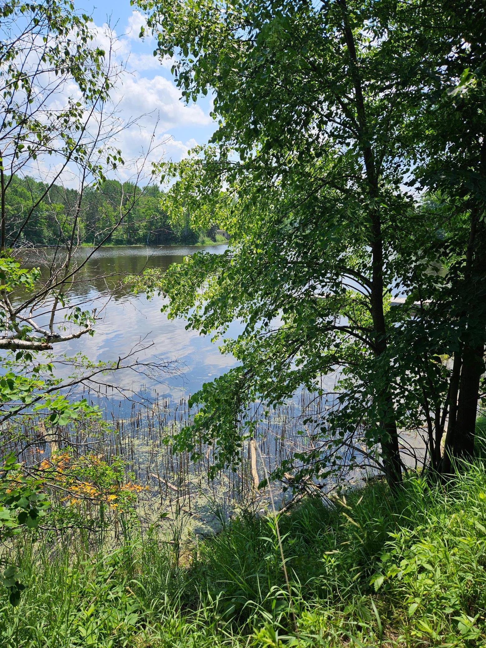 Lot15 Hooper Creek Loop, Baudette, Minnesota image 1