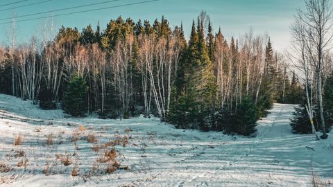 Vacant Land For Sale - TBD PARCEL 17 Hwy 115<br/> Saint Louis County, Tower, MN 55790