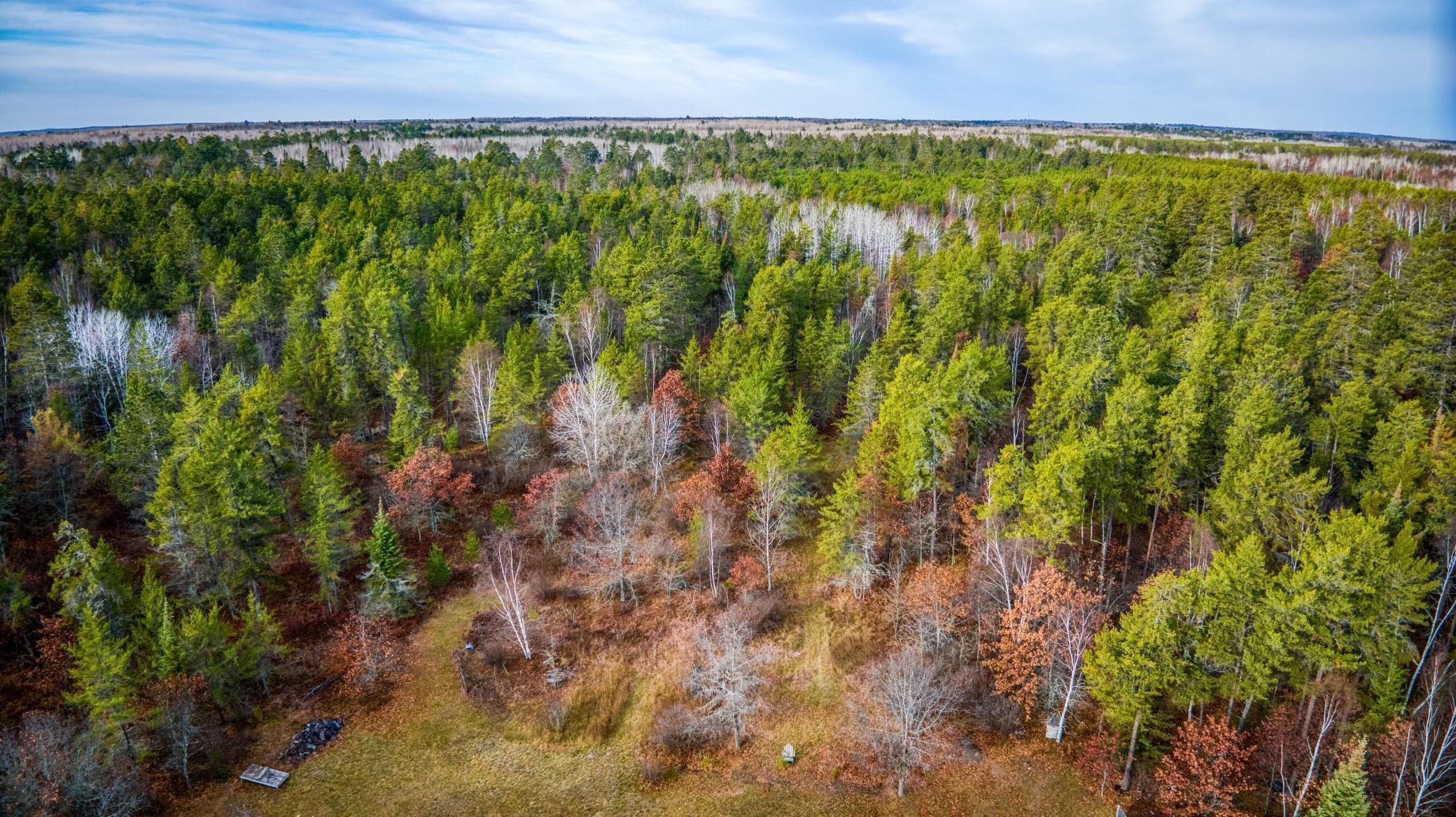 1951 Wolf Lake Drive, Bemidji, Minnesota image 44