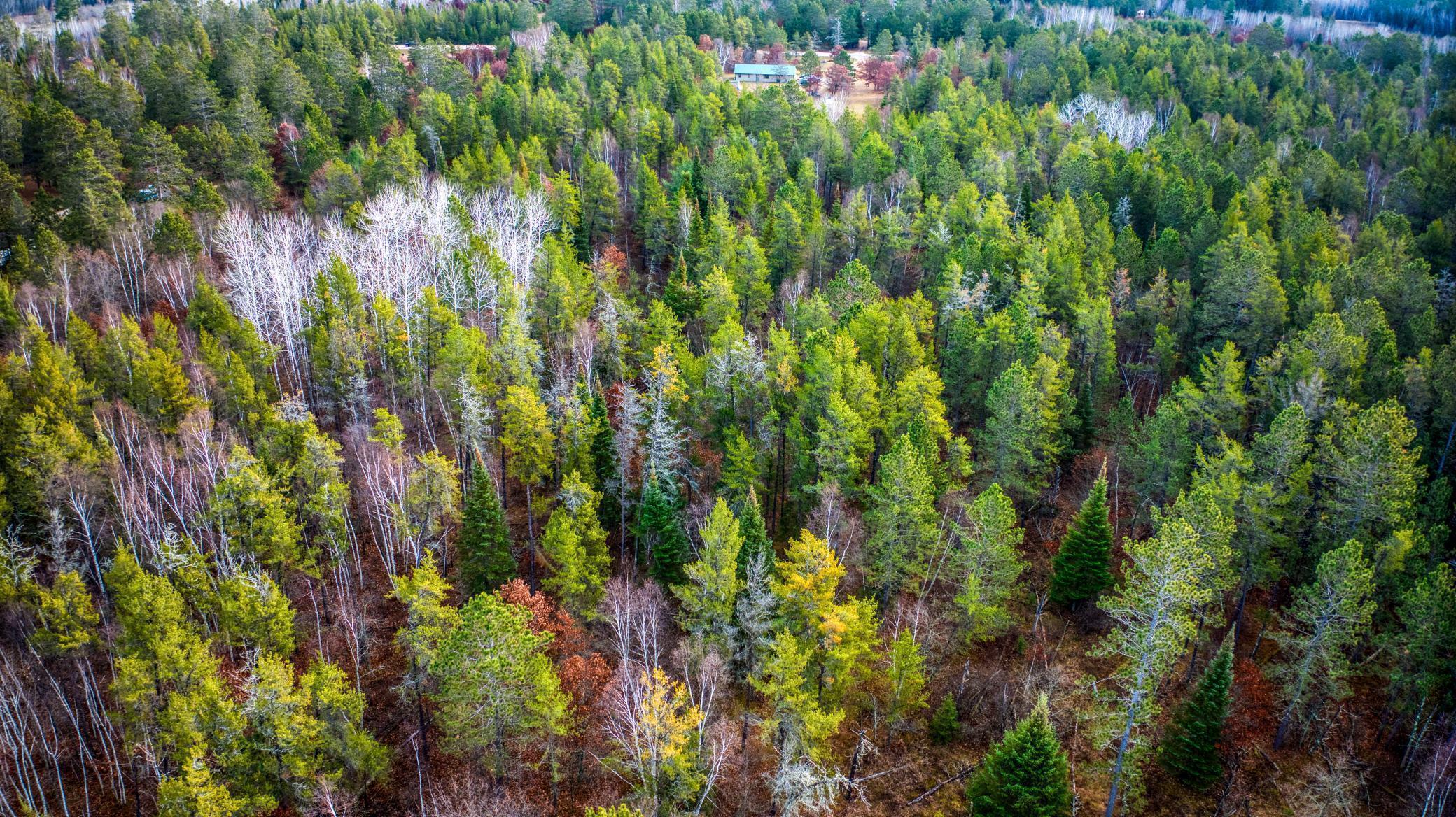 1951 Wolf Lake Drive, Bemidji, Minnesota image 28