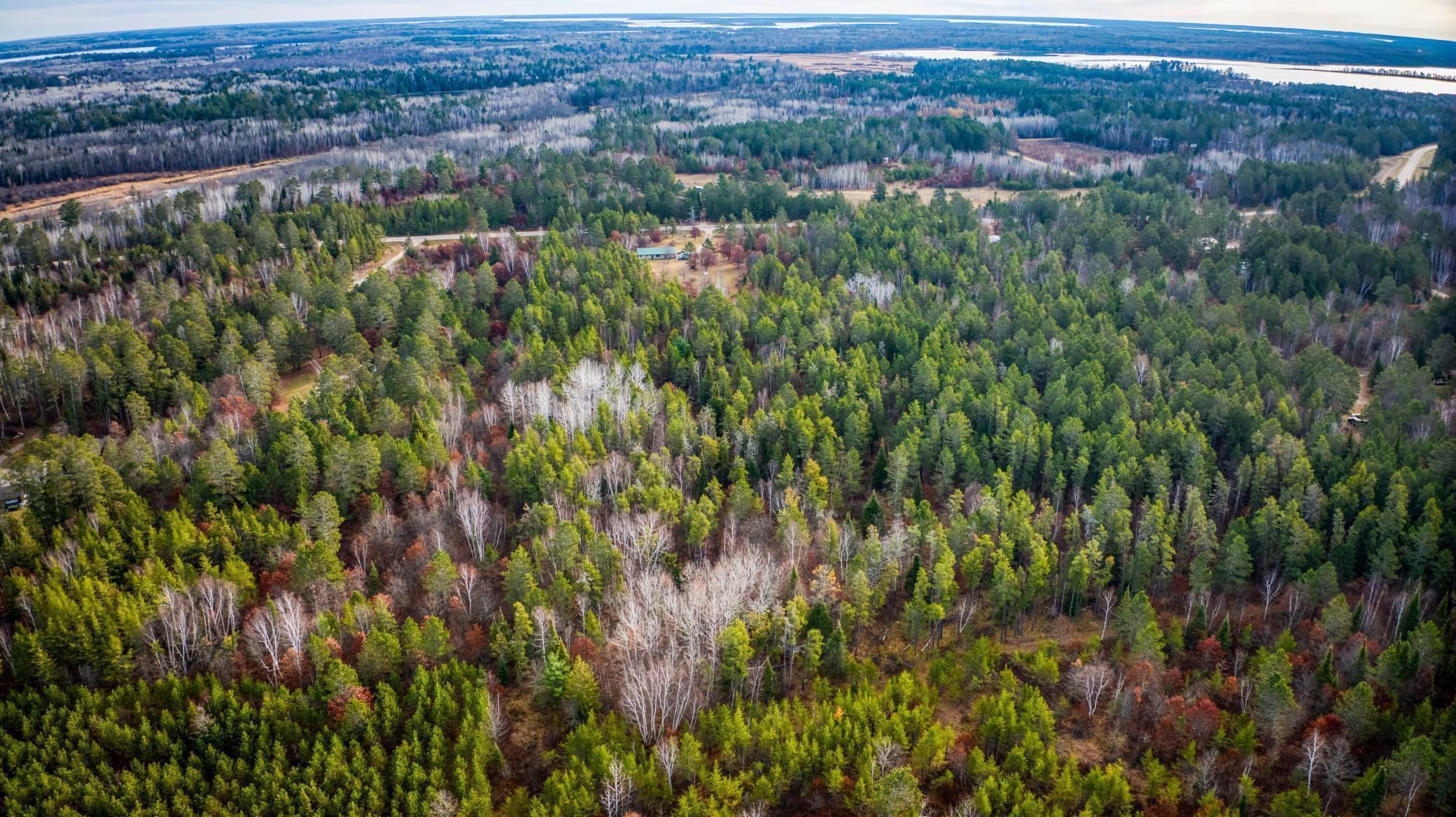 1951 Wolf Lake Drive, Bemidji, Minnesota image 45