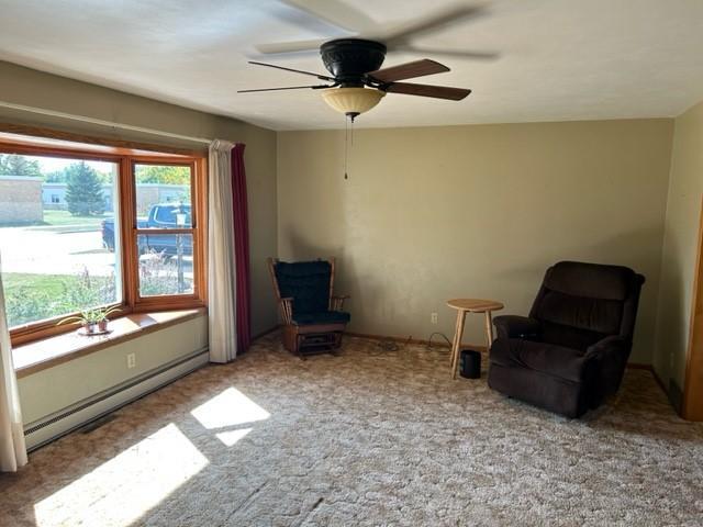 306 9th Street, Westbrook, Minnesota image 10