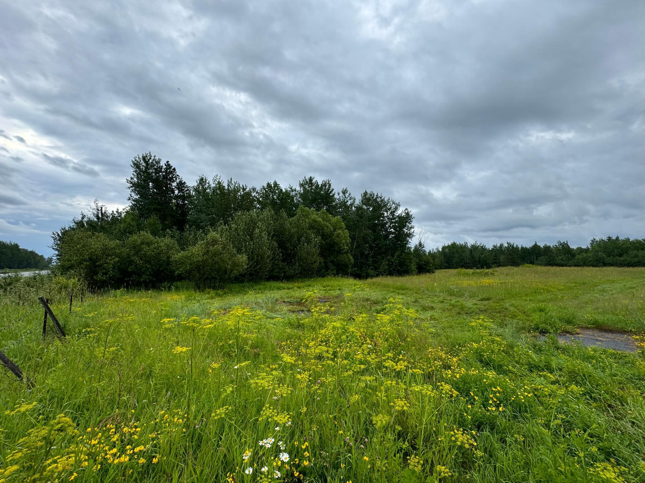 4580 Highway 11, International Falls, Minnesota image 3