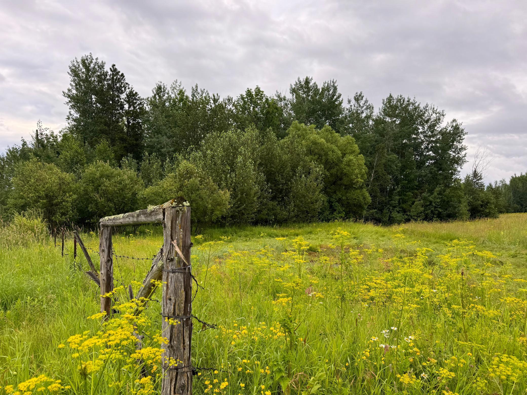 4580 Highway 11, International Falls, Minnesota image 1