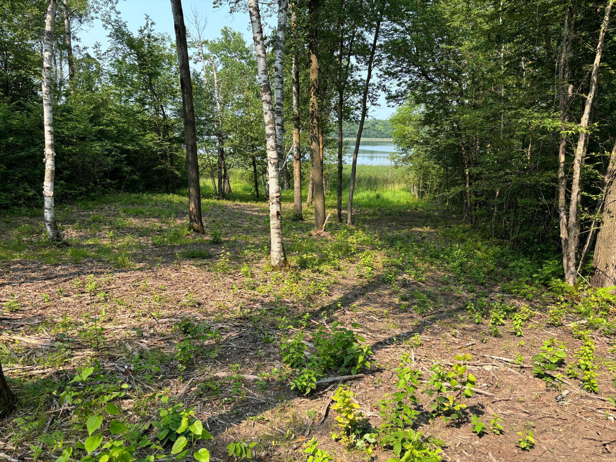 1254 Island Lake Resort Drive, Lengby, Minnesota image 2