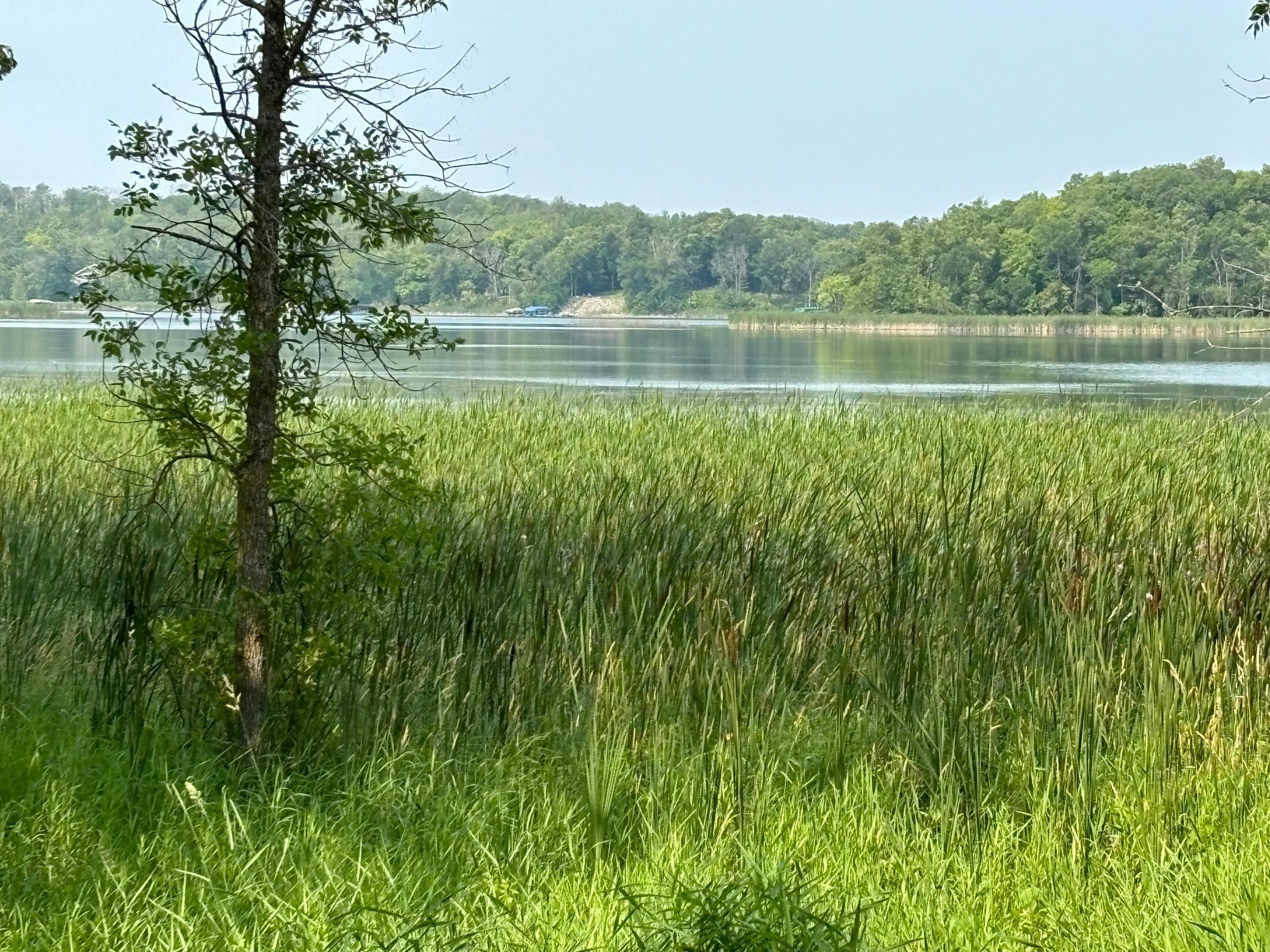 1254 Island Lake Resort Drive, Lengby, Minnesota image 1
