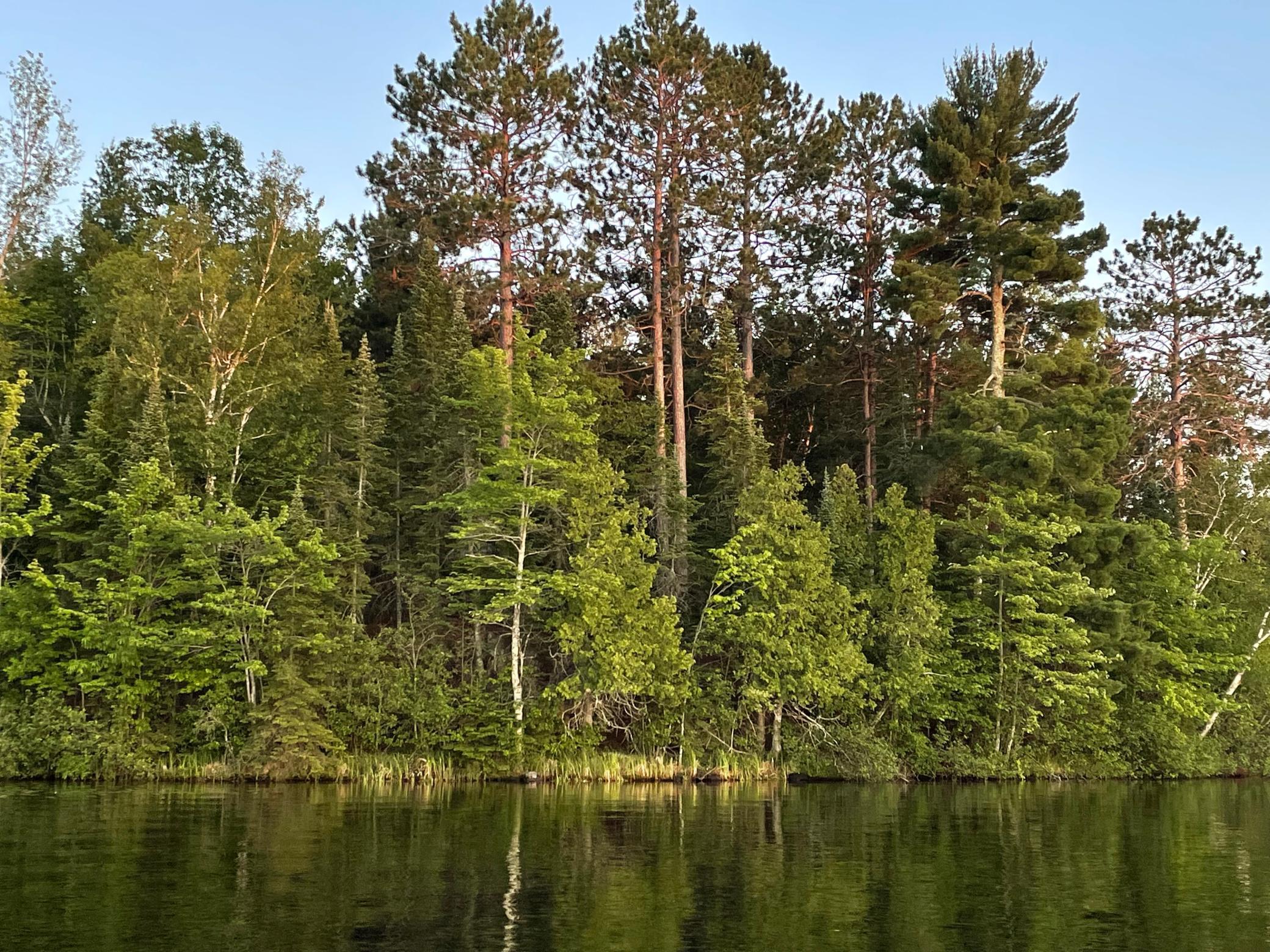 9011 W Shipley Road, Alborn, Minnesota image 38