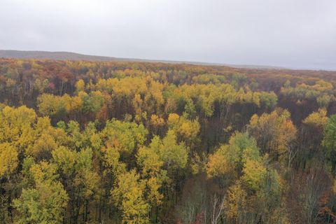 Vacant Land For Sale - 16XXX W County Road O<br/> Rusk County, Weyerhaeuser, WI 54895