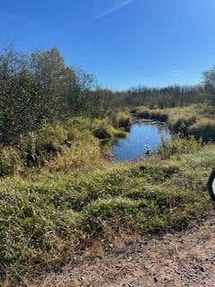 Vacant Land For Sale - 0000 Wick Road<br/> Saint Louis County, Saginaw, MN 55779