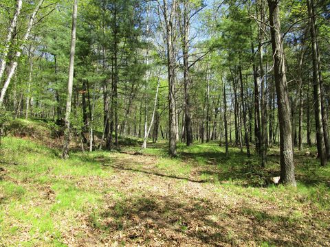 Vacant Land For Sale - XX S Long Lake Rd<br/> Siren, WI 54872