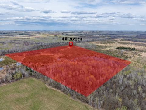 Vacant Land For Sale - XXX Brown Rd<br/> Kettle River, MN 55757
