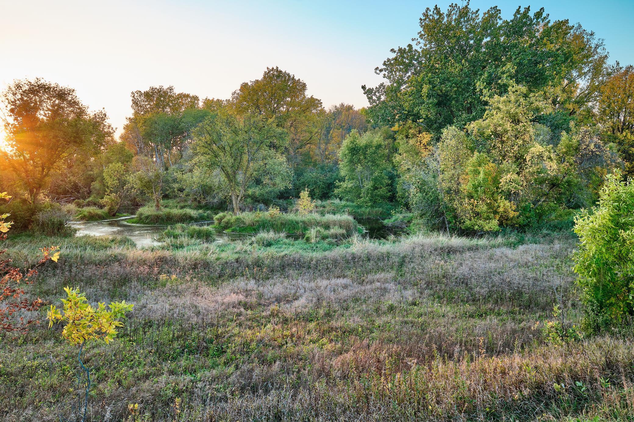 Xx1 580th, Litchfield, Minnesota image 13