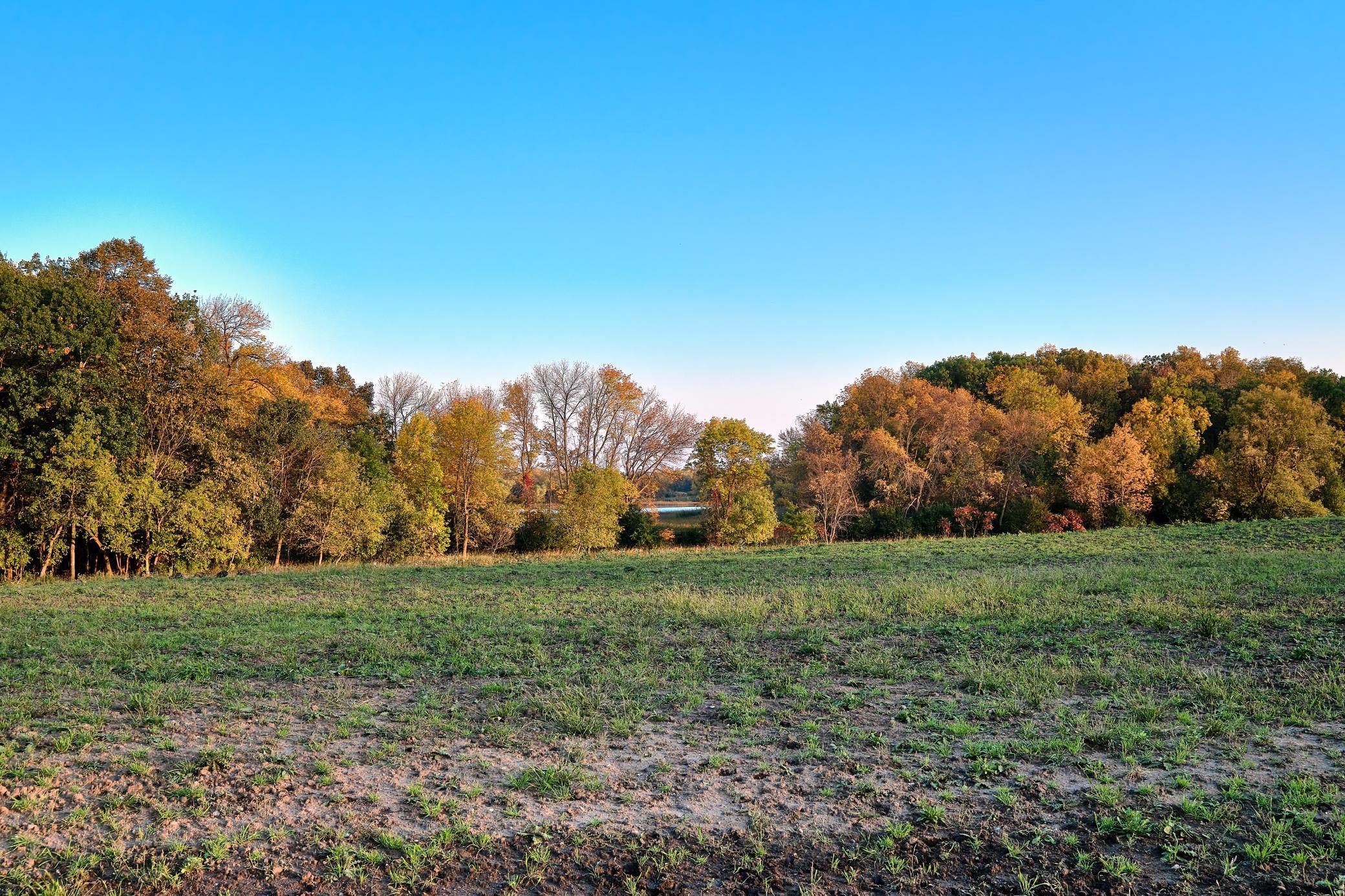 Xx1 580th, Litchfield, Minnesota image 19