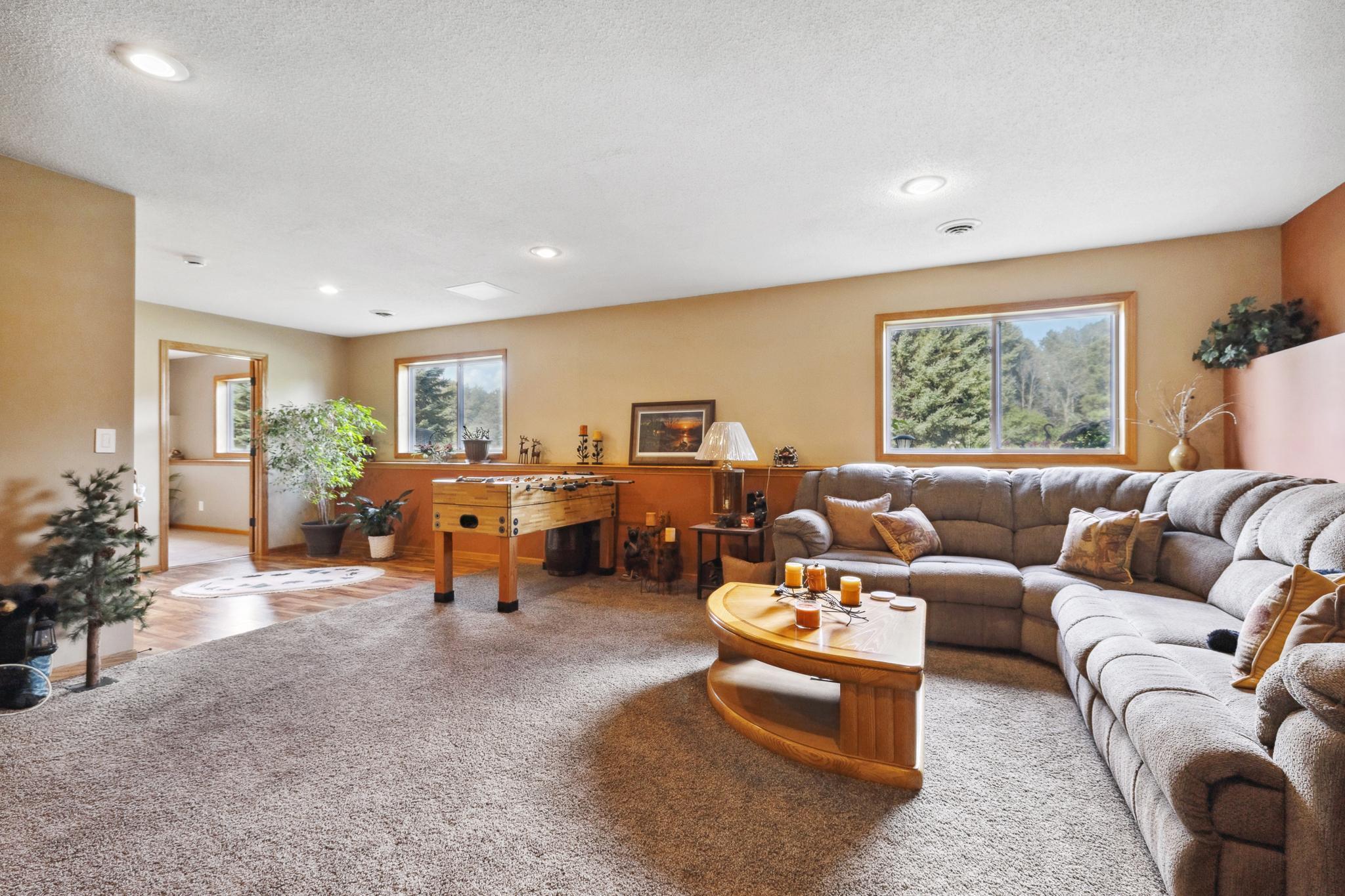 3555 170th Lane, Ham Lake, Minnesota image 19