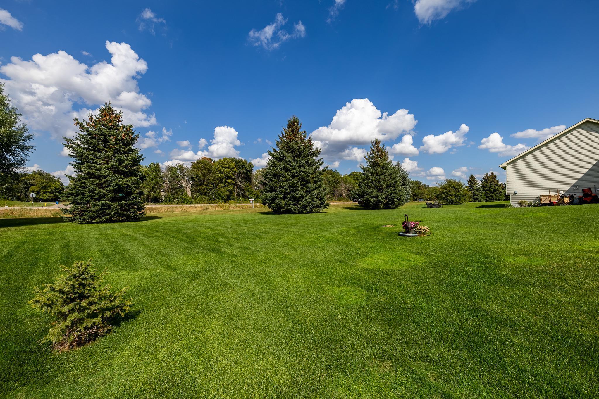 3555 170th Lane, Ham Lake, Minnesota image 31