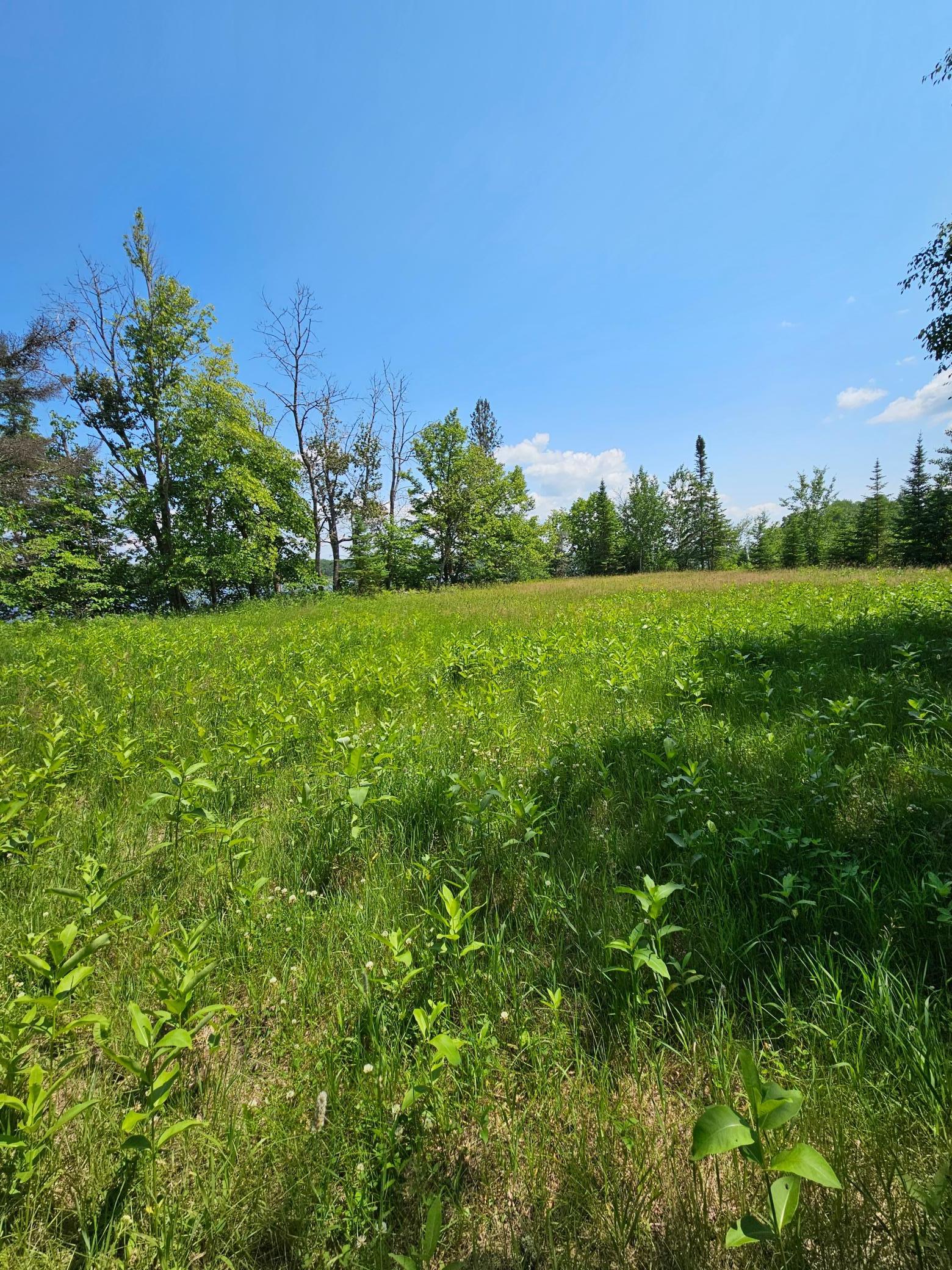 Lot6 Hooper Creek Loop, Baudette, Minnesota image 1