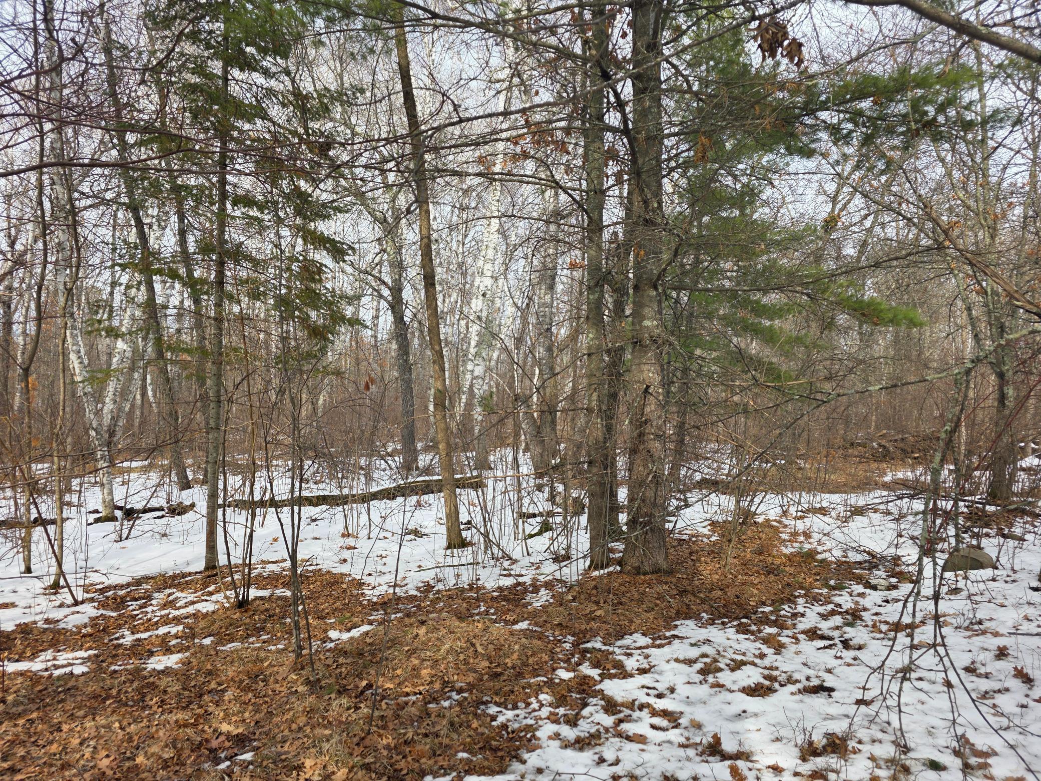 TBD Andrusia Road #LOT 7, BLOCK 1, Cass Lake, Minnesota image 15