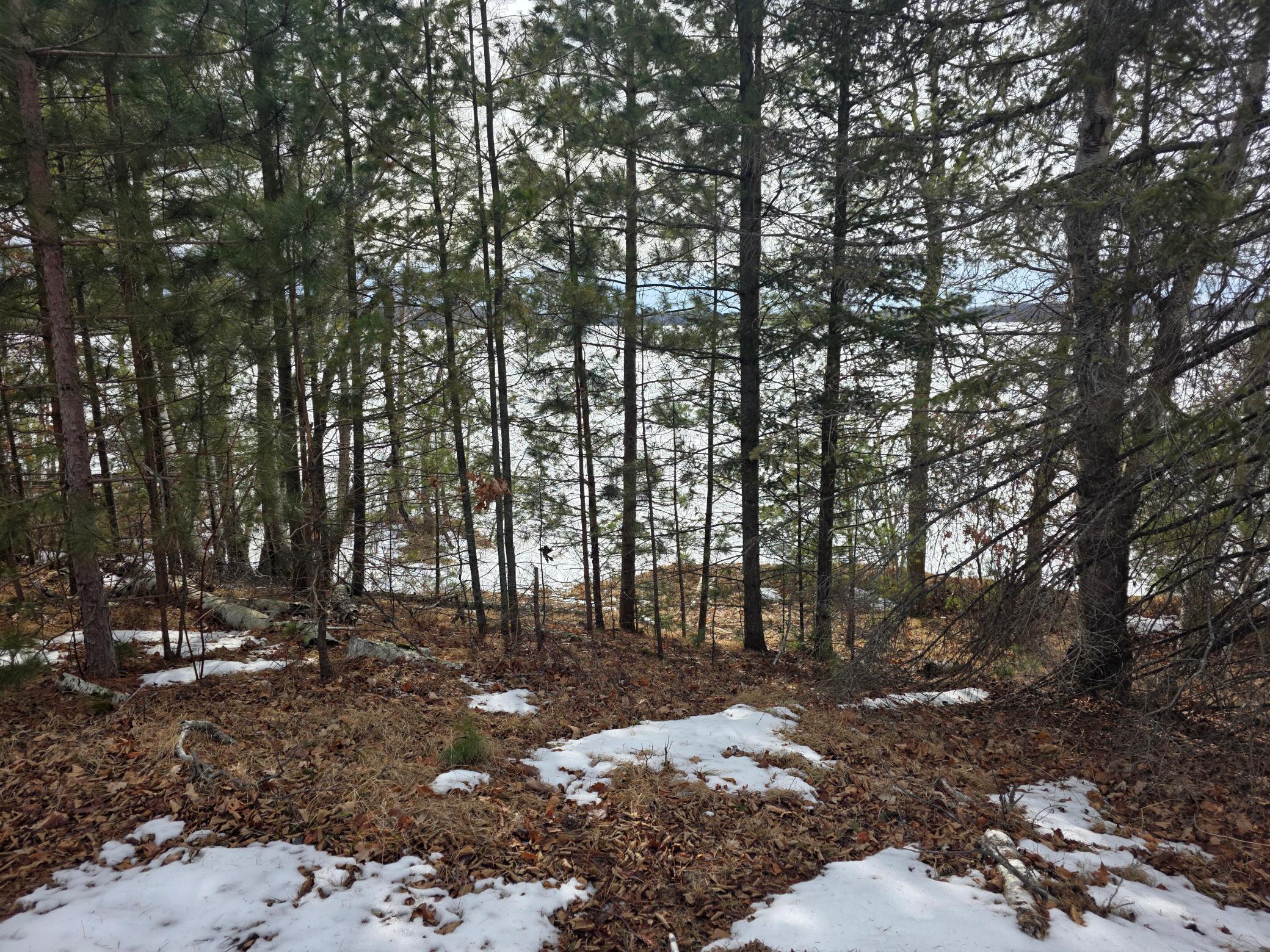 TBD Andrusia Road #LOT 7, BLOCK 1, Cass Lake, Minnesota image 2