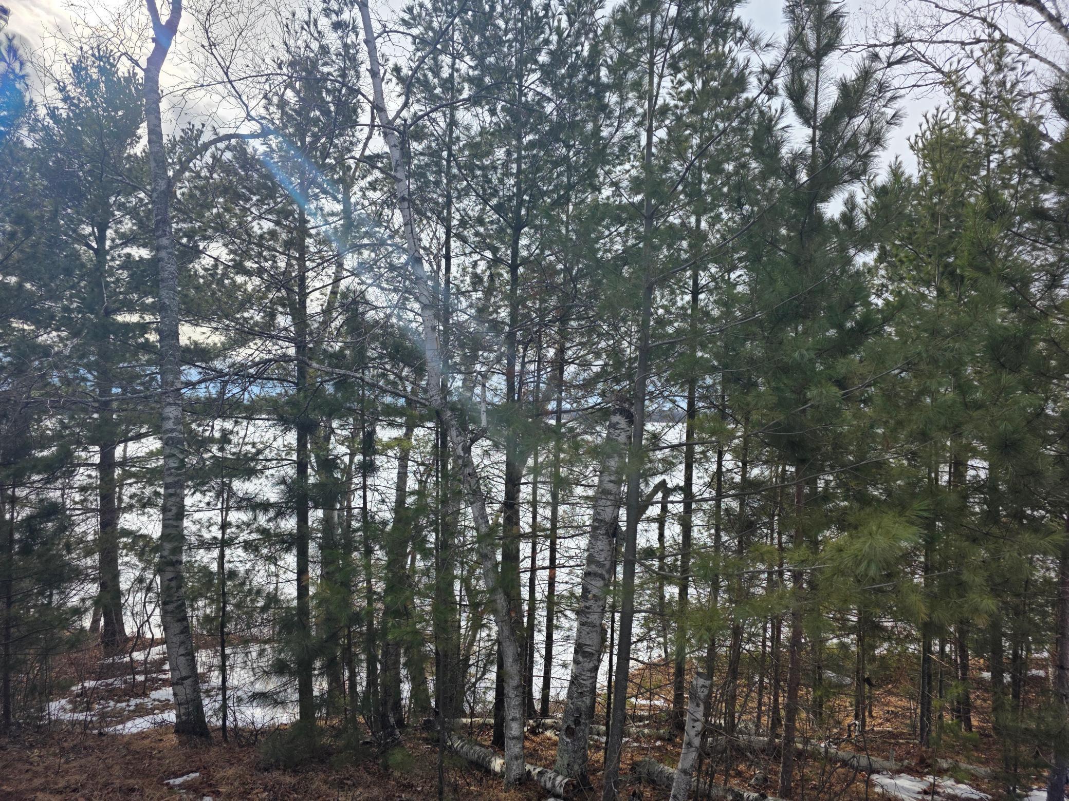TBD Andrusia Road #LOT 7, BLOCK 1, Cass Lake, Minnesota image 13