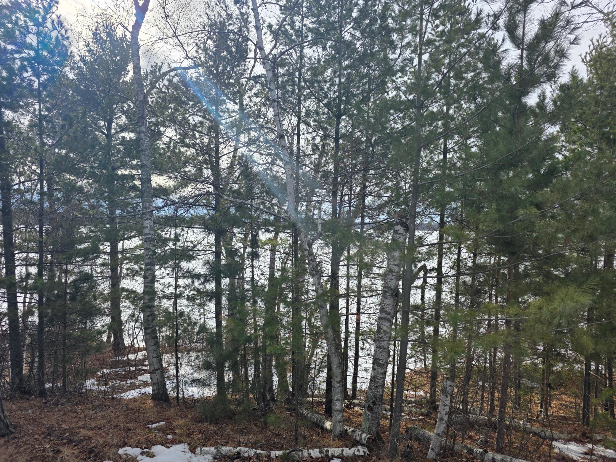 TBD Andrusia Road #LOT 7, BLOCK 1, Cass Lake, Minnesota image 1