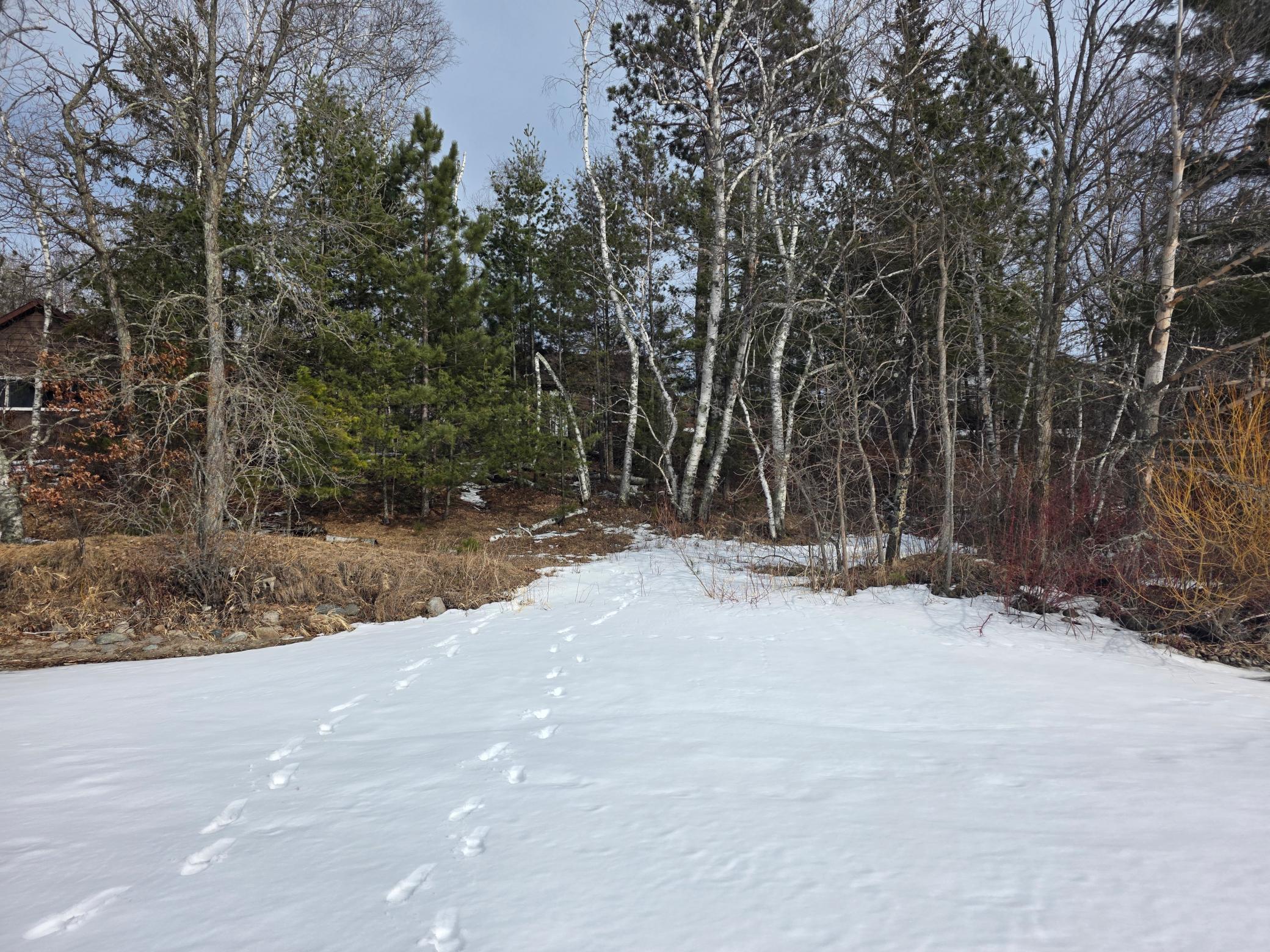 TBD Andrusia Road #LOT 7, BLOCK 1, Cass Lake, Minnesota image 14