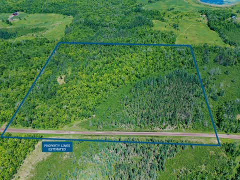 Vacant Land For Sale - TBD Oak Leaf Road<br/> Pine County, Kerrick, MN 55756