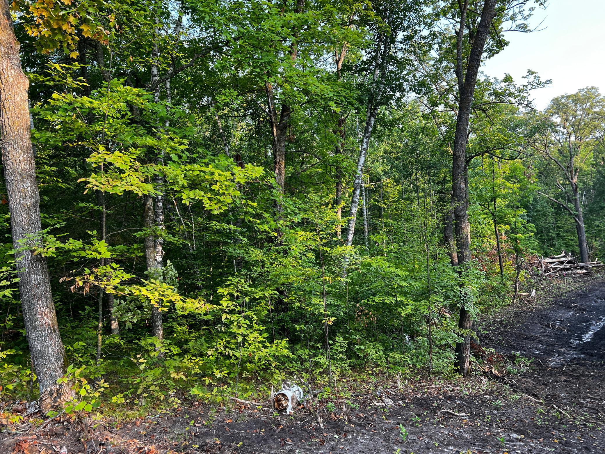 TBD Lot 8 300th Avenue, Lengby, Minnesota image 14