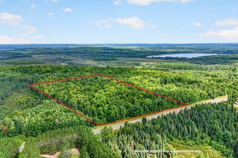 Vacant Land For Sale - 20 ACRES State Hwy 77<br/> Hayward, WI 54843