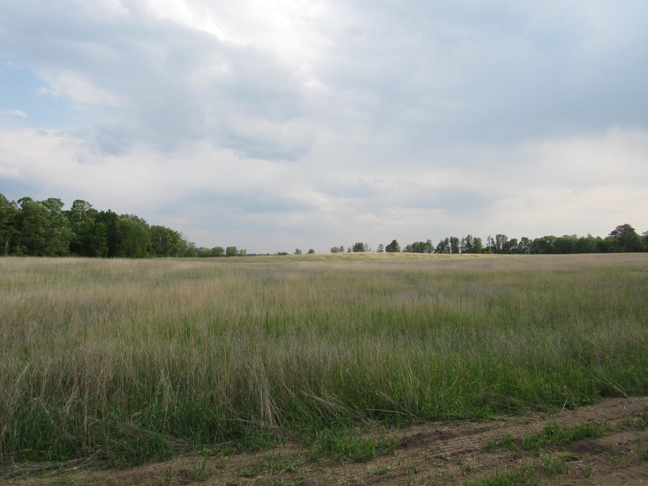 TBD 12th Parcel 9, Backus, Minnesota image 3