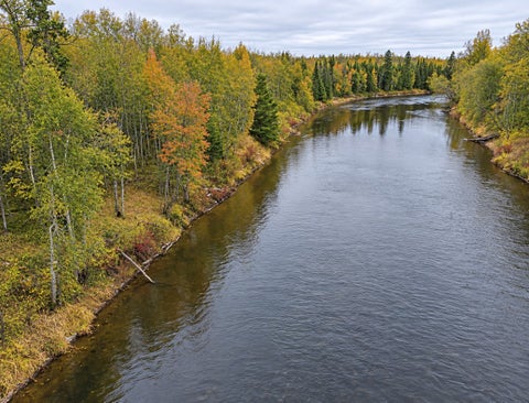 Vacant Land For Sale - TBD Highway 5<br/> Effie, MN 56639