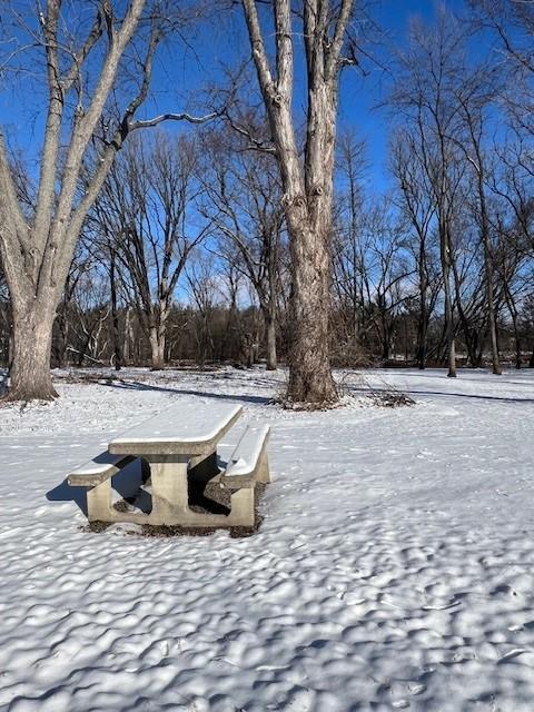 2007 Tbd 2 River Lots, Waite Park, Minnesota image 9