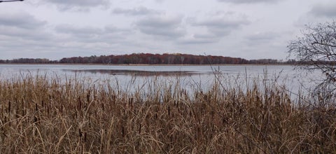Vacant Land For Sale - TBD* Snowshoe Trail<br/> Todd County, Staples, MN 56479