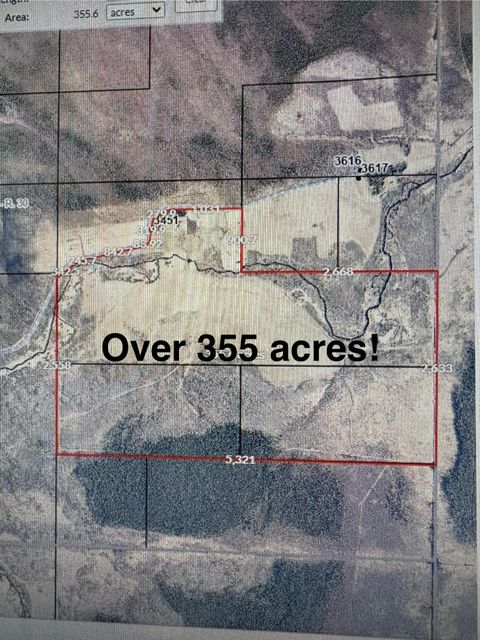 Vacant Land For Sale - 3451 Hay Creek Road<br/> Lake Of The Woods County, Baudette, MN 56623